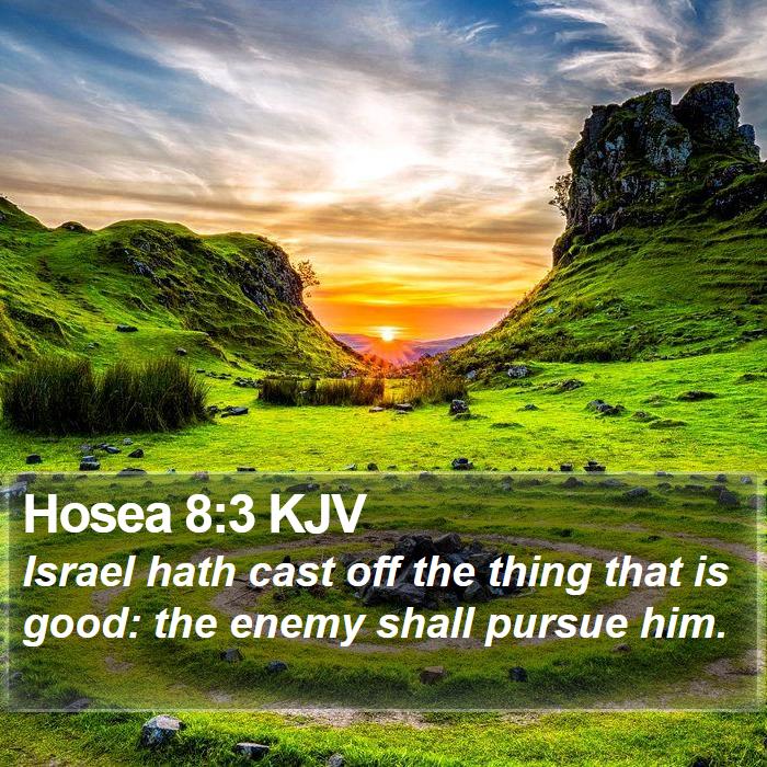 Hosea 8:3 KJV Bible Study