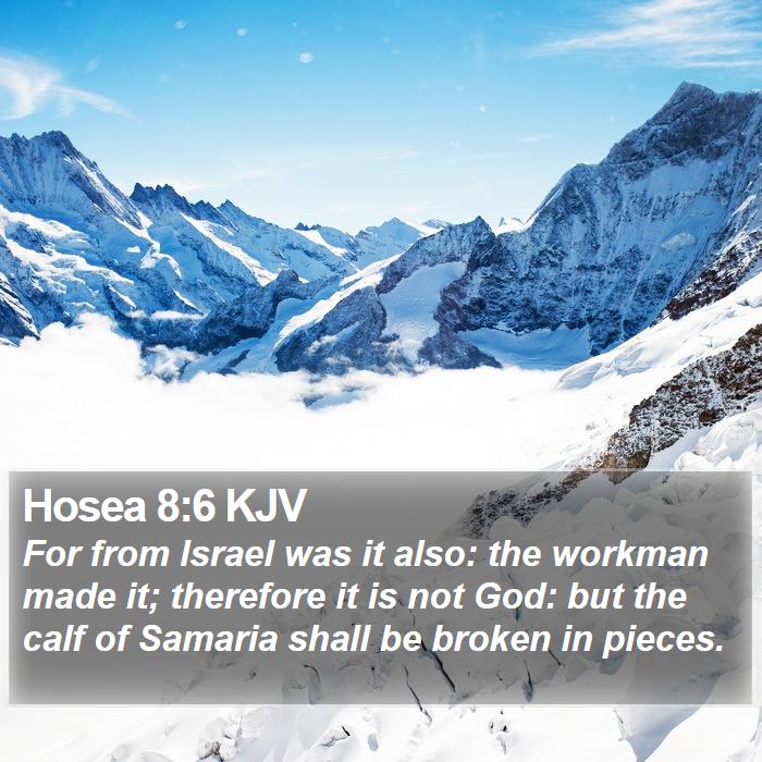 Hosea 8:6 KJV Bible Study