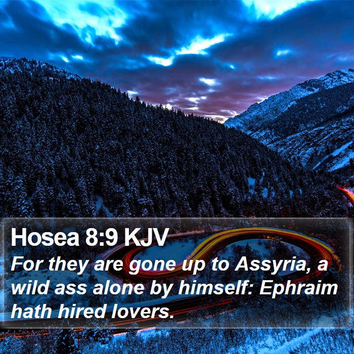 Hosea 8:9 KJV Bible Study