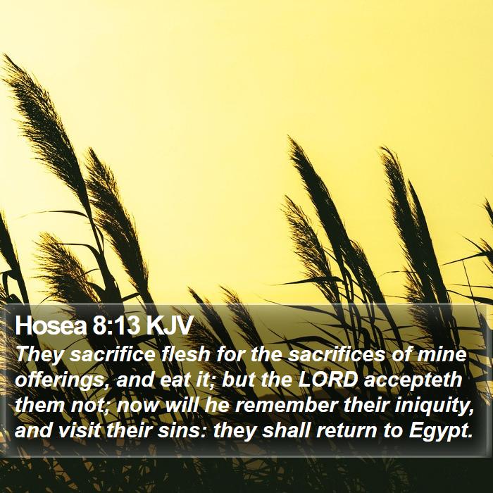 Hosea 8:13 KJV Bible Study