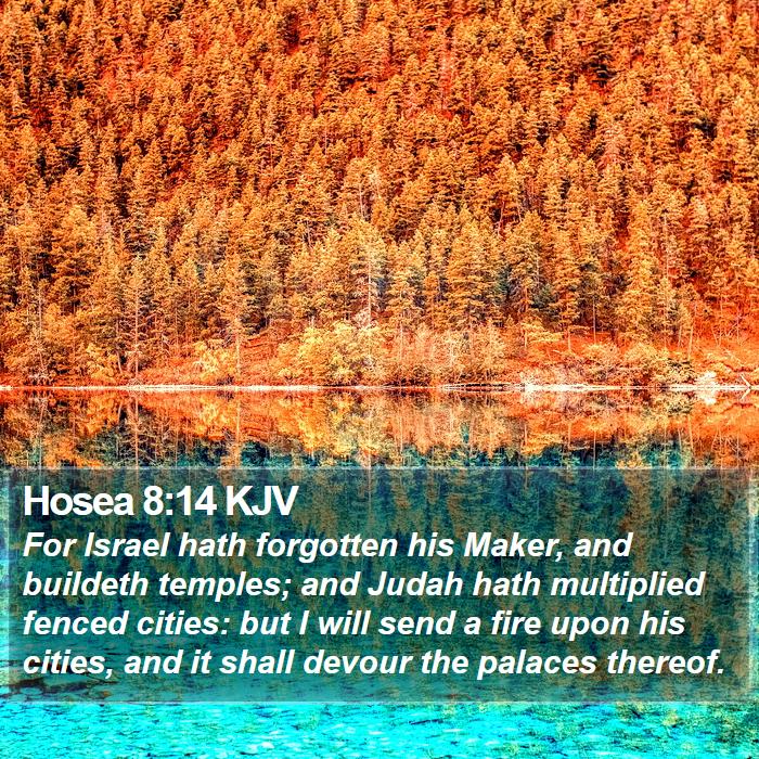 Hosea 8:14 KJV Bible Study