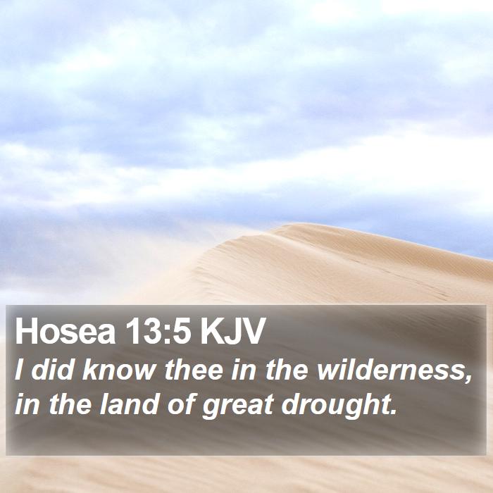 Hosea 13:5 KJV Bible Study