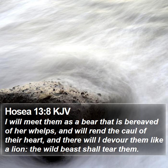 Hosea 13:8 KJV Bible Study