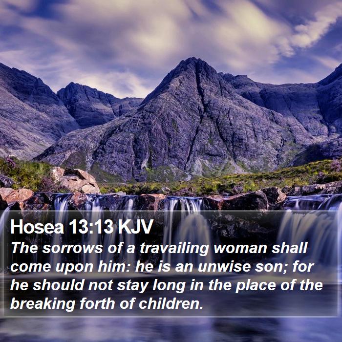 Hosea 13:13 KJV Bible Study