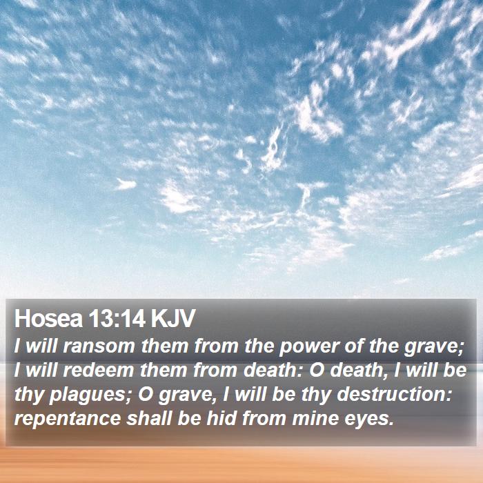 Hosea 13:14 KJV Bible Study