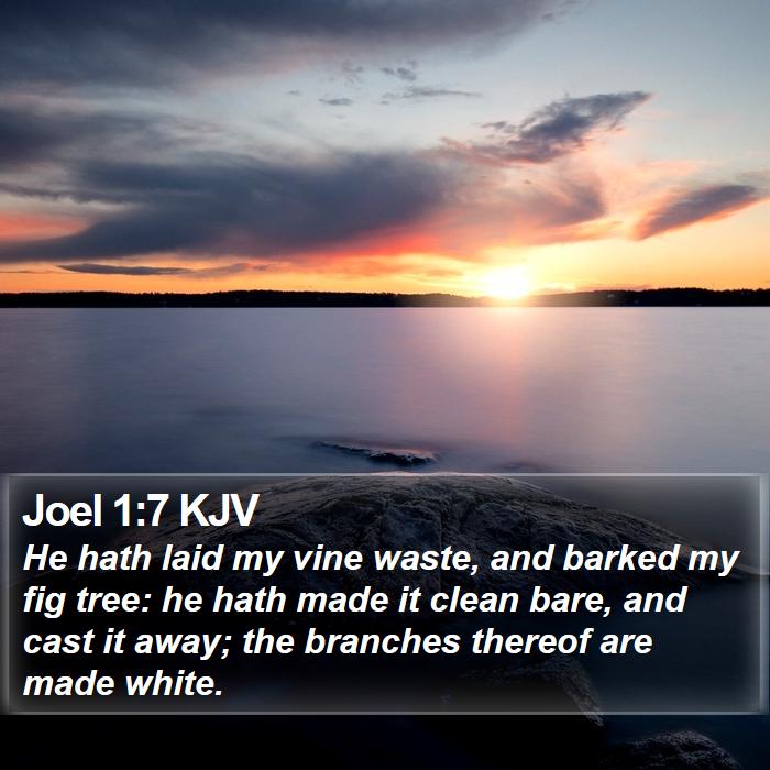 Joel 1:7 KJV Bible Study