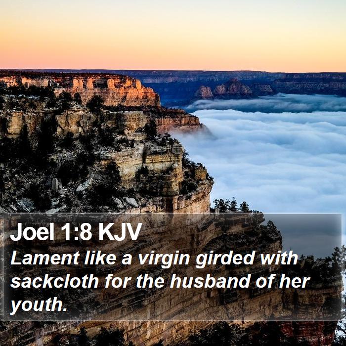 Joel 1:8 KJV Bible Study