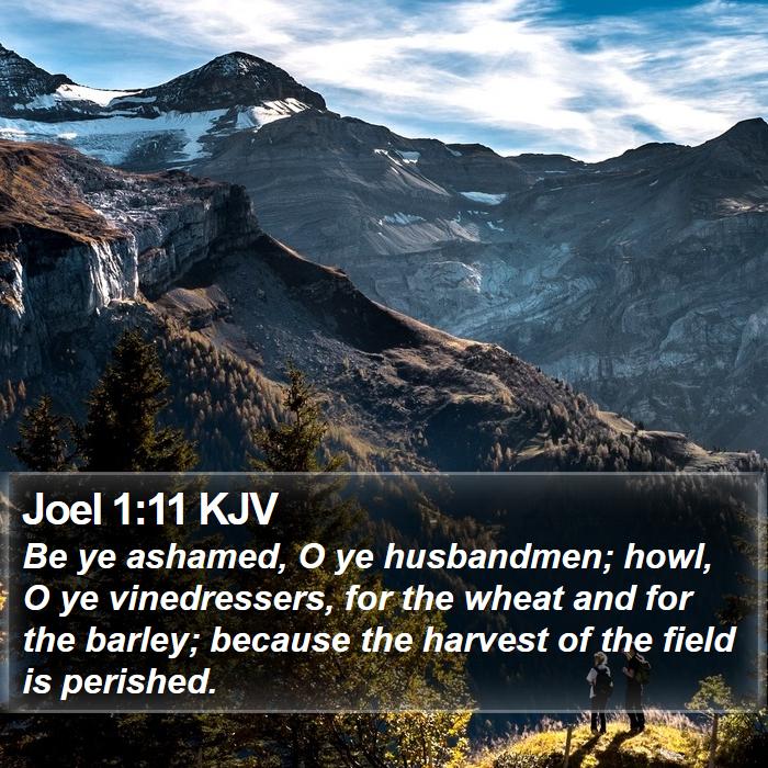 Joel 1:11 KJV Bible Study