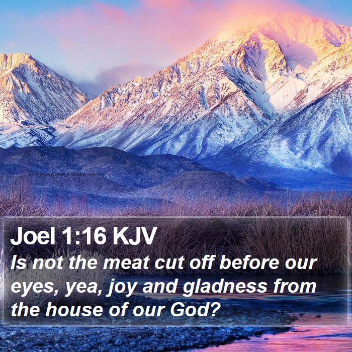 Joel 1:16 KJV Bible Study