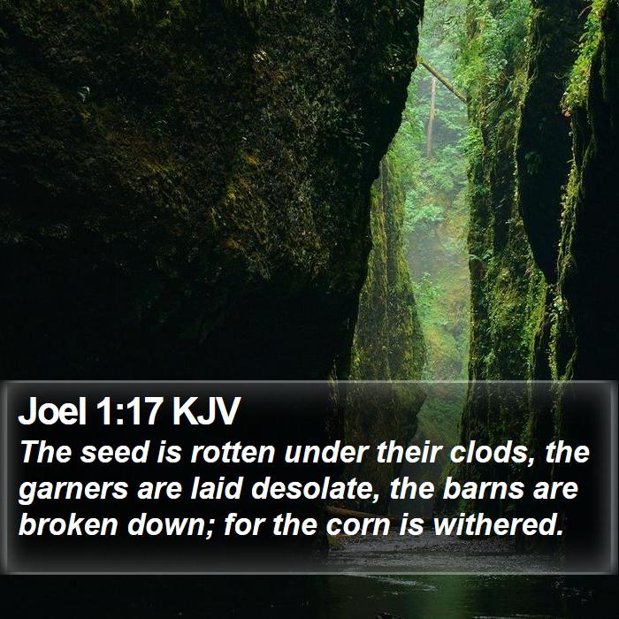 Joel 1:17 KJV Bible Study