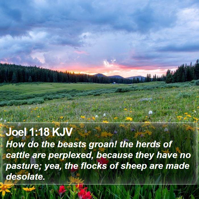 Joel 1:18 KJV Bible Study