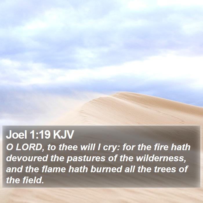 Joel 1:19 KJV Bible Study