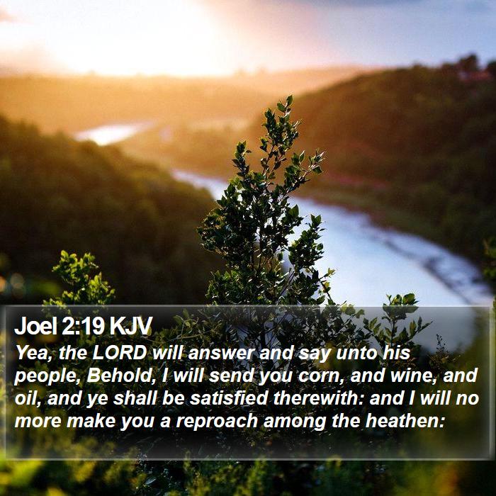 Joel 2:19 KJV Bible Study