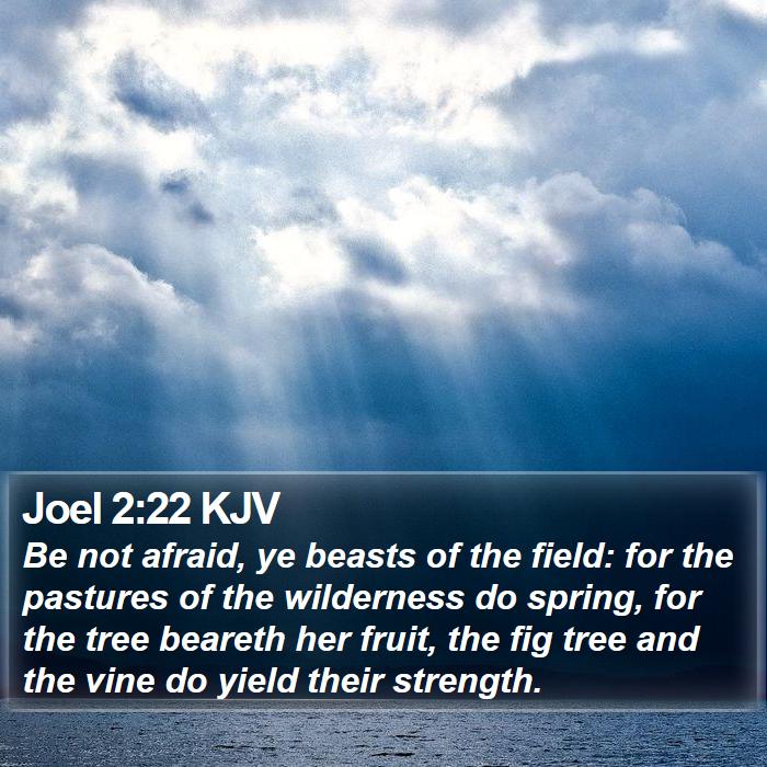 Joel 2:22 KJV Bible Study