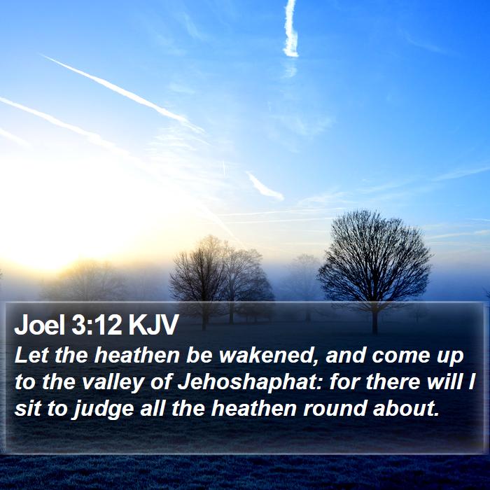 Joel 3:12 KJV Bible Study