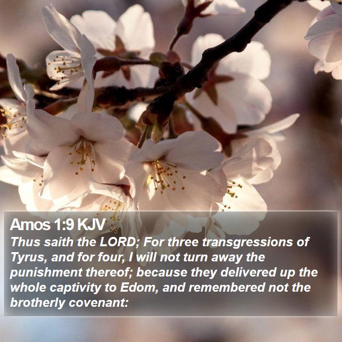 Amos 1:9 KJV Bible Study