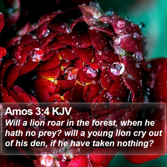 Amos 3:4 KJV Bible Study