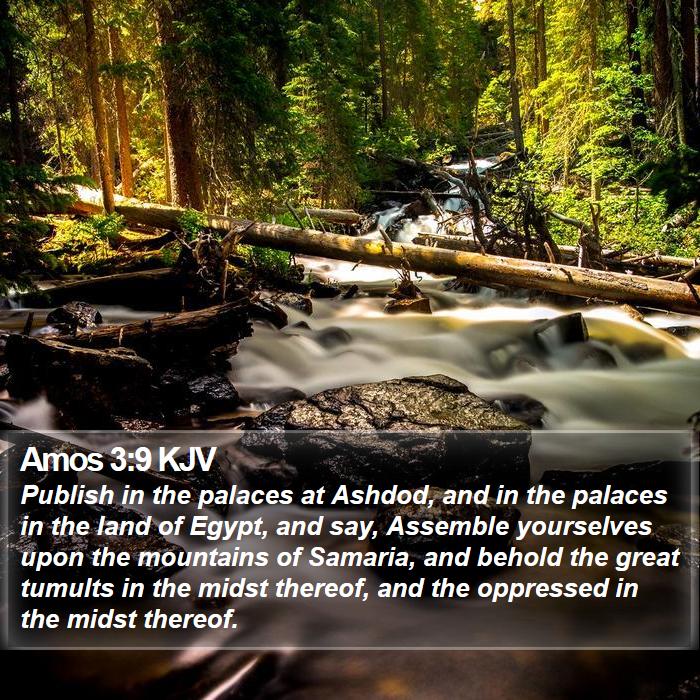 Amos 3:9 KJV Bible Study