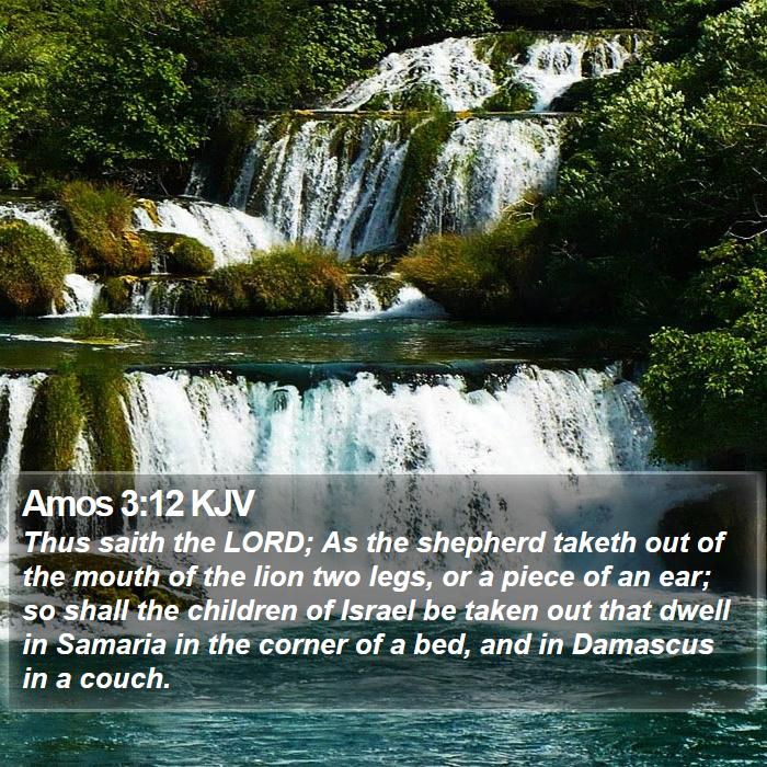 Amos 3:12 KJV Bible Study