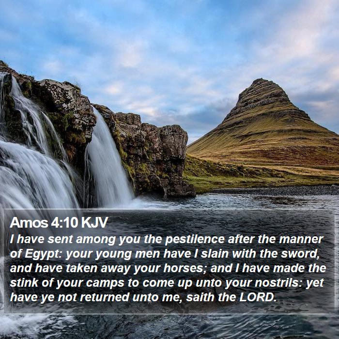 Amos 4:10 KJV Bible Study