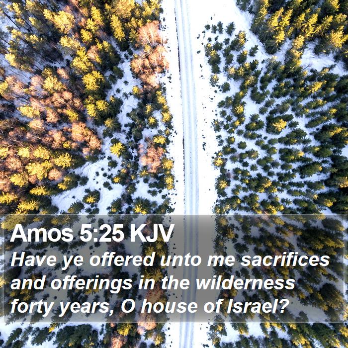 Amos 5:25 KJV Bible Study