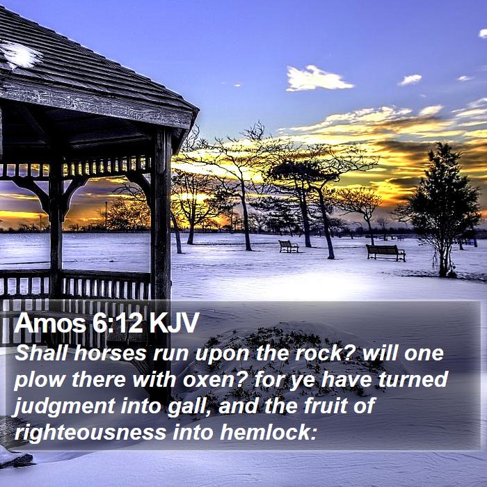 Amos 6:12 KJV Bible Study