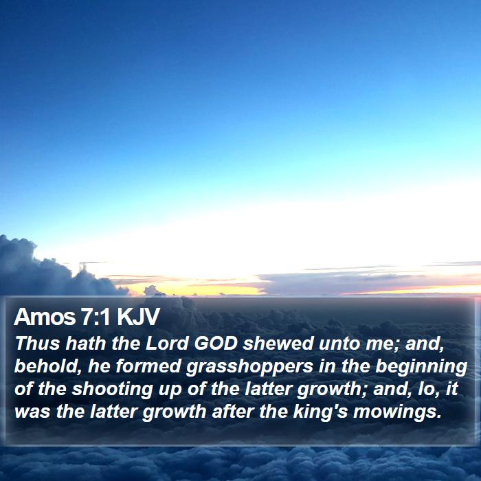 Amos 7:1 KJV Bible Study