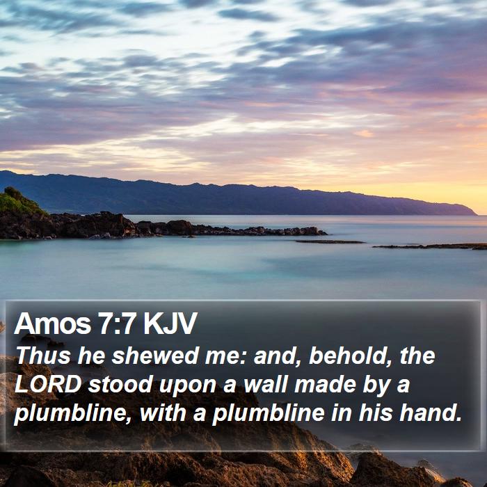 Amos 7:7 KJV Bible Study