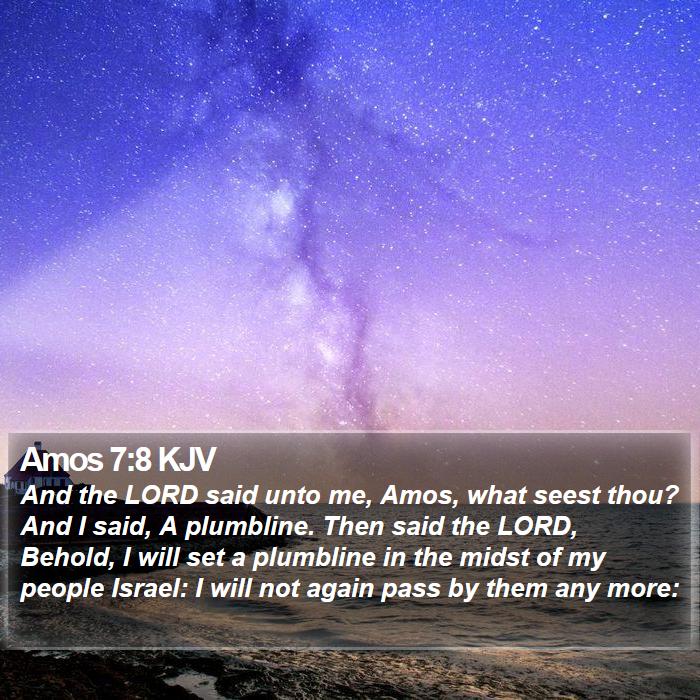 Amos 7:8 KJV Bible Study