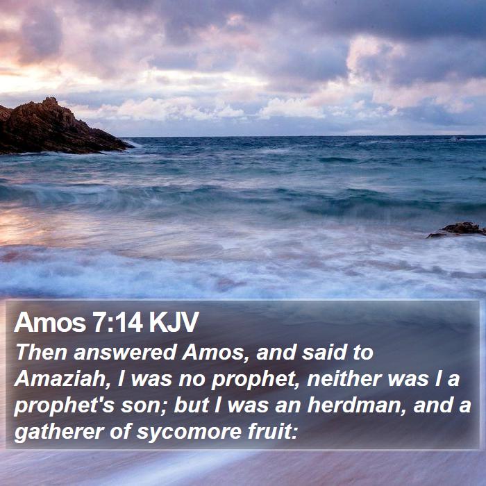 Amos 7:14 KJV Bible Study