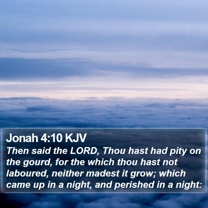 Jonah 4:10 KJV Bible Study