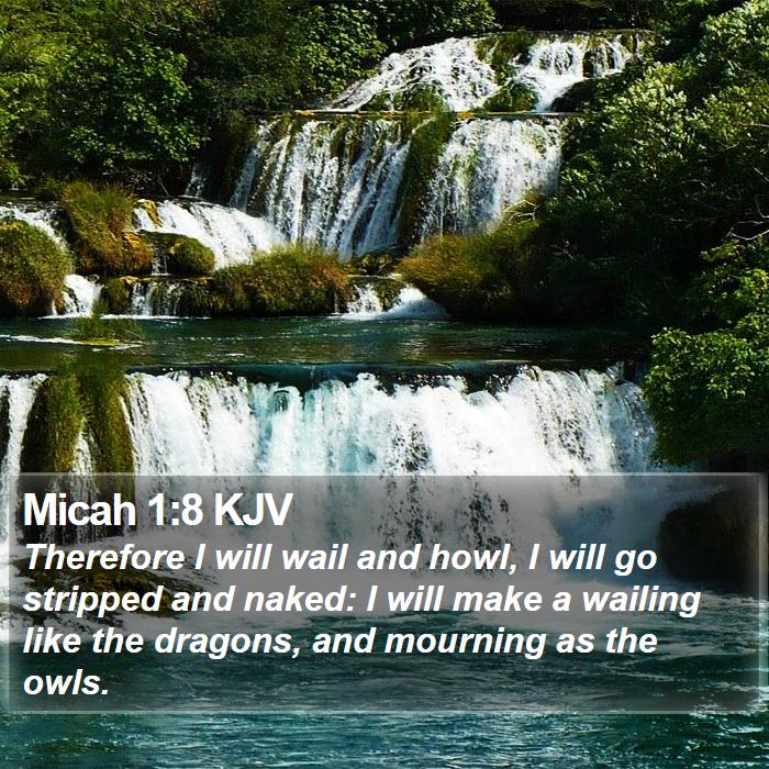 Micah 1:8 KJV Bible Study