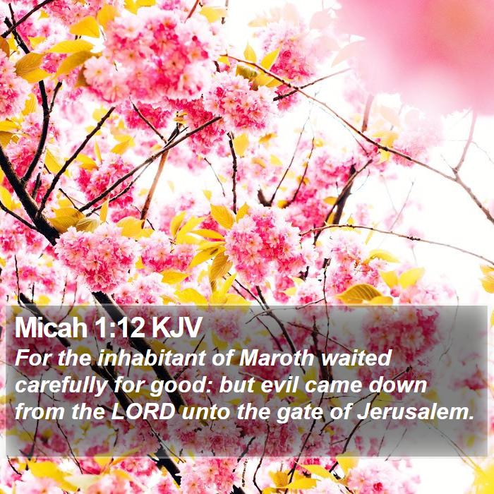 Micah 1:12 KJV Bible Study