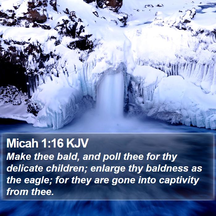 Micah 1:16 KJV Bible Study