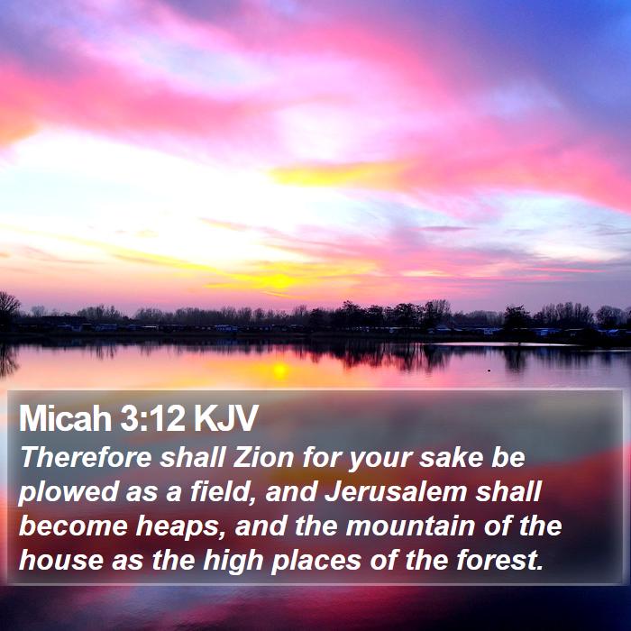 Micah 3:12 KJV Bible Study