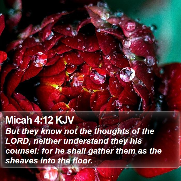 Micah 4:12 KJV Bible Study