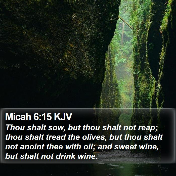 Micah 6:15 KJV Bible Study