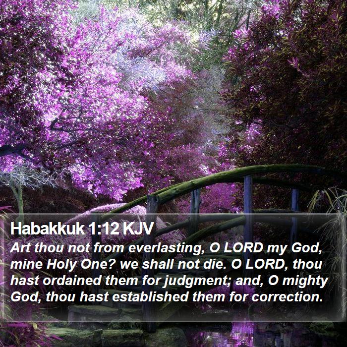 Habakkuk 1:12 KJV Bible Study