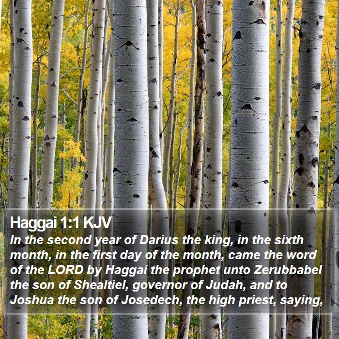 Haggai 1:1 KJV Bible Study