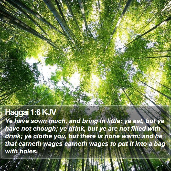 Haggai 1:6 KJV Bible Study