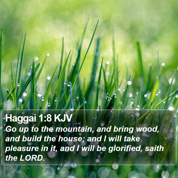 Haggai 1:8 KJV Bible Study