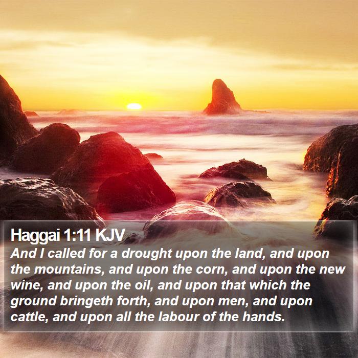 Haggai 1:11 KJV Bible Study