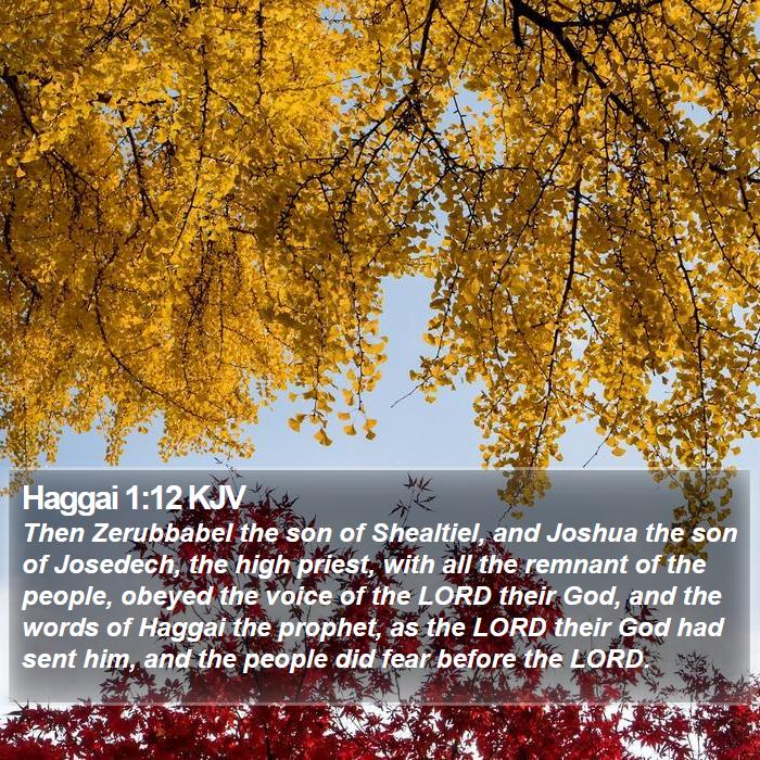 Haggai 1:12 KJV Bible Study