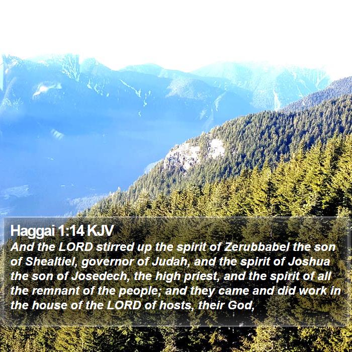 Haggai 1:14 KJV Bible Study