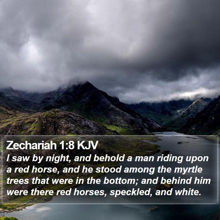 Zechariah 1:8 KJV Bible Study