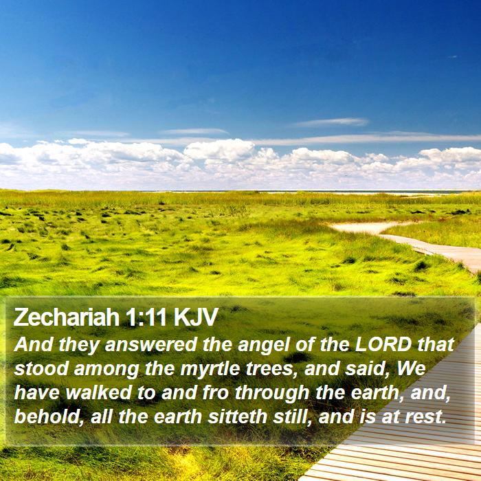 Zechariah 1:11 KJV Bible Study