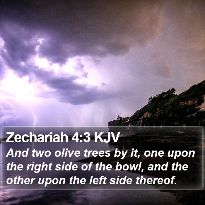 Zechariah 4:3 KJV Bible Study