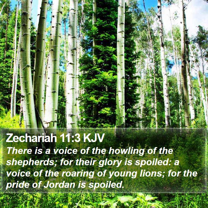 Zechariah 11:3 KJV Bible Study