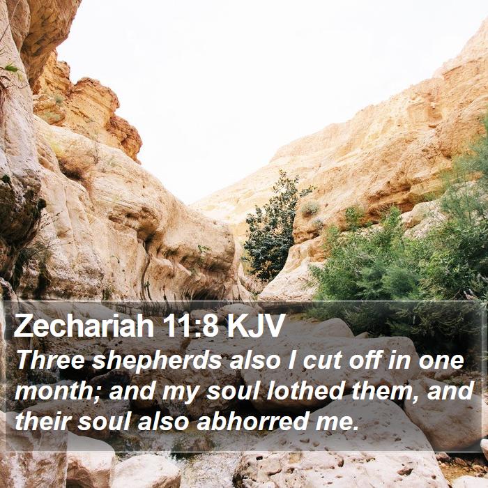 Zechariah 11:8 KJV Bible Study