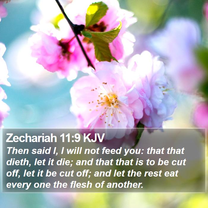 Zechariah 11:9 KJV Bible Study